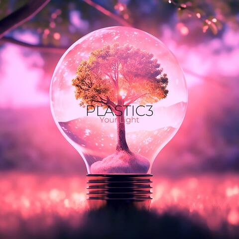 Your Light