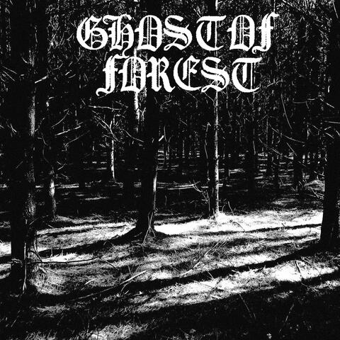 Shimmering Presence (Demo)