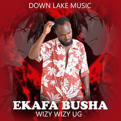 Ekafa busha