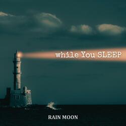 While You Sleep