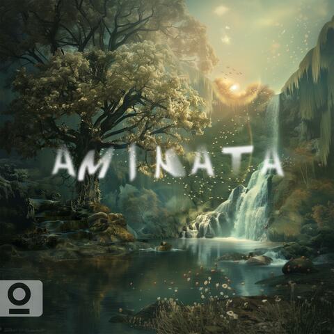 aminata