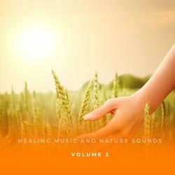 River Sounds And Healing Ambient Music With Gentle Piano And Harp For Well Being And Anxiety Relief