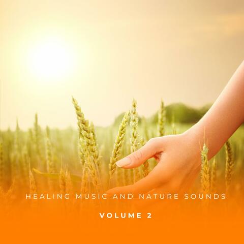 Healing Music And Nature Sounds Vol. 2