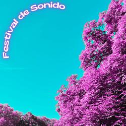 Festival de Sonido