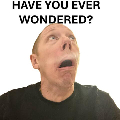 Have You Ever Wondered?