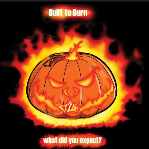 What Did You Expect?