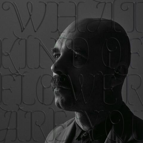 WHAT KIND OF FLOWER ARE YOU?