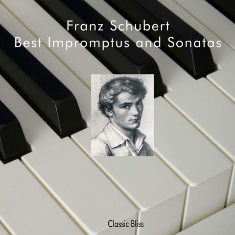 Best Impromptus and Sonatas