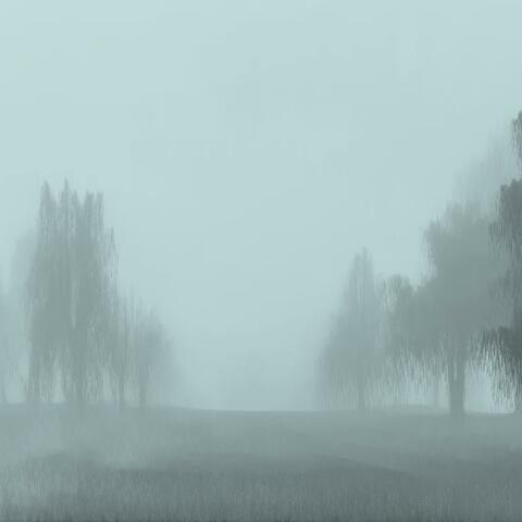 fog
