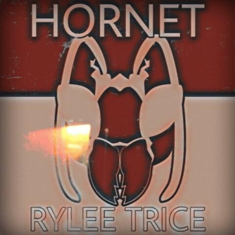 Hornet