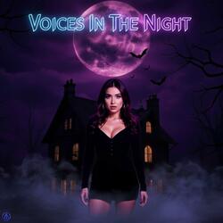 Voices In The Night