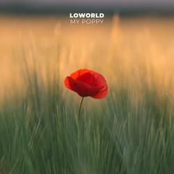 My Poppy