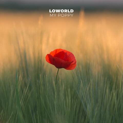 My Poppy