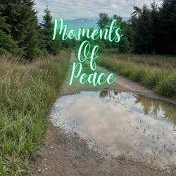 Moments Of Peace