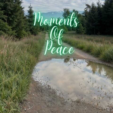Moments Of Peace