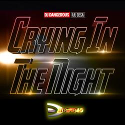 Crying In The Night