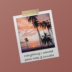 palm trees & sunsets