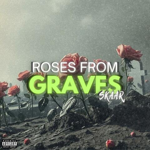 ROSES FROM GRAVES