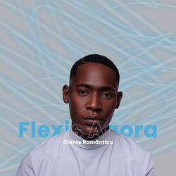 Flexis Agora