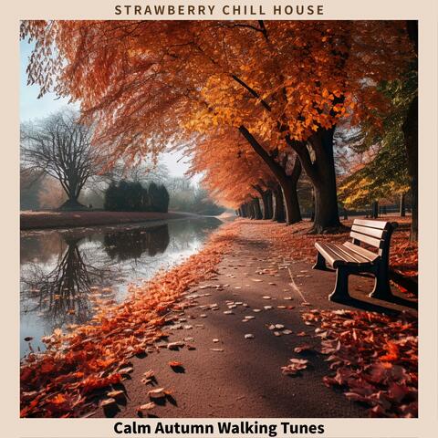 Calm Autumn Walking Tunes