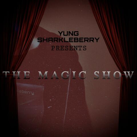 THE MAGIC SHOW