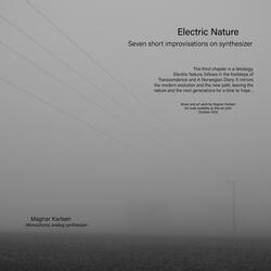 Electric Nature