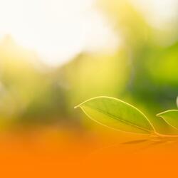 Soothing Ambient Atmosphere With Gentle Soundscapes For Emotional Healing And Peaceful Sleep