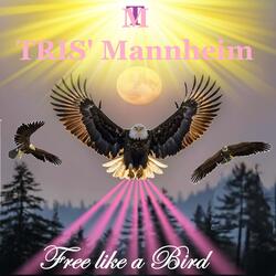 The Eagles call for Freedom