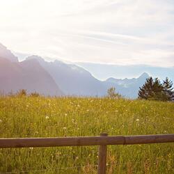 Peaceful Ambient Soundscape With Gentle Melodies For Meditation And Restful Sleep