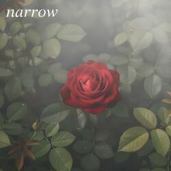 narrow