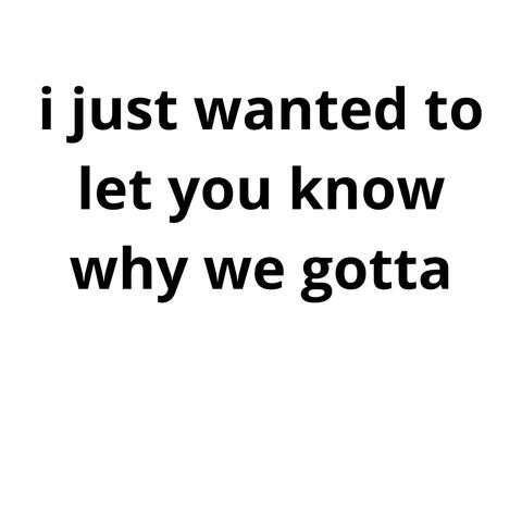 i just wanted to let you know why we gotta
