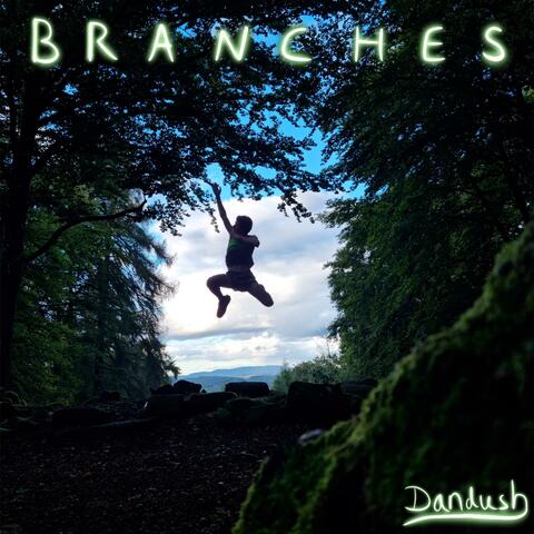 Branches
