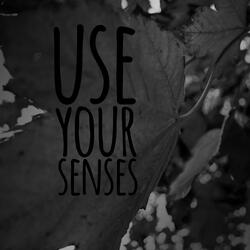 use your senses
