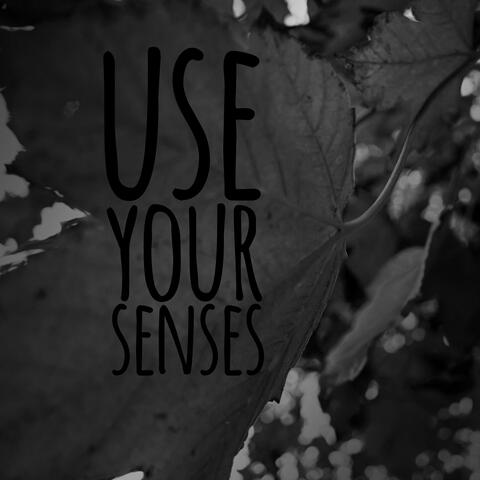 use your senses