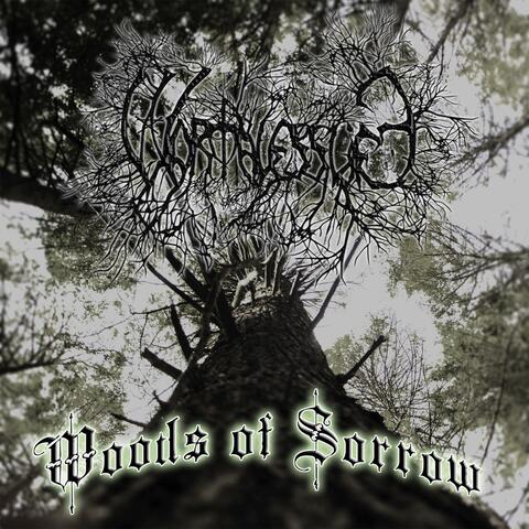 Woods Of Sorrow