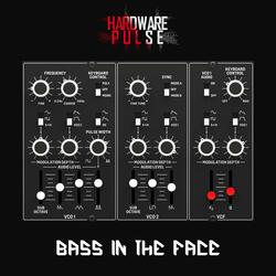 Bass In The Face