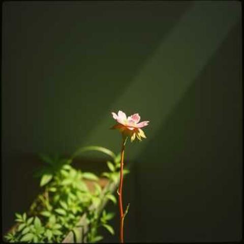 Tere Bina Main Adhoora Hoon