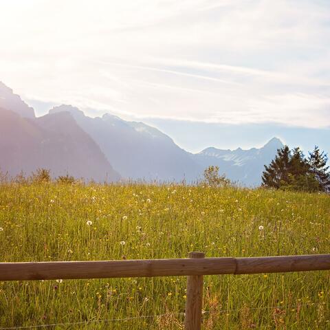 Peaceful Ambient Music With Soft Synth Textures For Mindfulness And Deep Relaxation