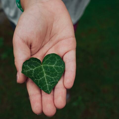 Gentle Ambient Soundscape With Flowing Atmosphere For Emotional Balance And Peaceful Sleep