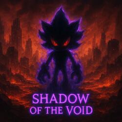 Shadow Of The Void