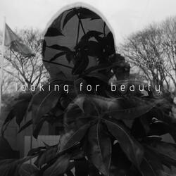 looking for beauty