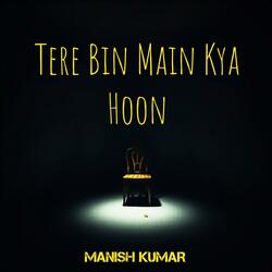 Tere Bin Main Kya Hoon