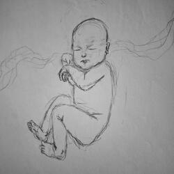 the boundless border