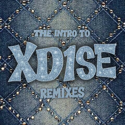 The Intro To XDISE (Leaked Accounts)