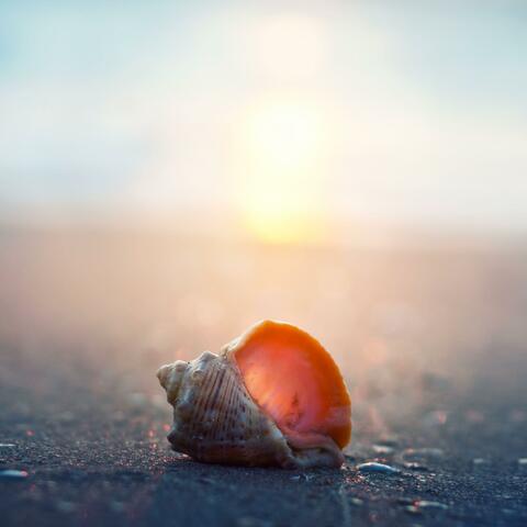 Calm Ambient Soundscape With Gentle Tones For Healing Energy And Deep Sleep