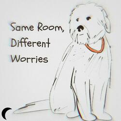 Same Room, Different Worries