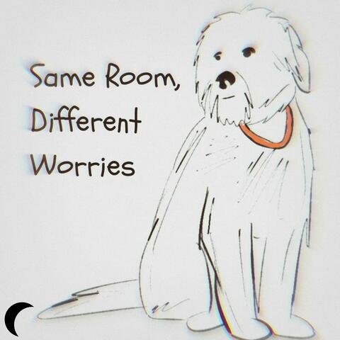 Same Room, Different Worries