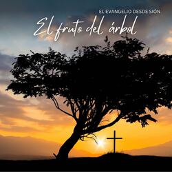 El fruto del árbol