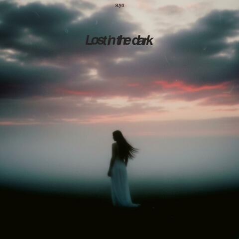 lost in the dark