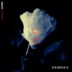 Back to Twenty Three